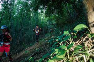 BIB: 
                            <button type="button" onclick="openModal(28124717)" class="btn btn-primary btn-sm float-right btn-popup" data-toggle="modal" data-target=".modal-high-quality">
                        <i class="fas fa-shopping-cart"></i> Add to Cart
                    </button>
                                            <button type="button" onclick="isThisMe(28124717, true)" class="btn btn-success btn-sm float-right btn-popup btn-isme hidden" data-toggle="tooltip" data-placement="bottom" title="นี่คือรูปของคุณใช่ไหม คลิกที่นี่เพื่อเอาเข้าอัลบั้ม">
                        <i class="fas fa-plus"></i> Add to album
                    </button>
                    <button type="button" onclick="isThisMe(28124717, false)" class="btn btn-warning btn-sm float-right btn-popup btn-isnotme hidden">
                        <i class="fas fa-ban"></i> Remove from album
                    </button>